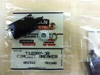 Предохранитель T12287-39 - st-e.info - Севастополь